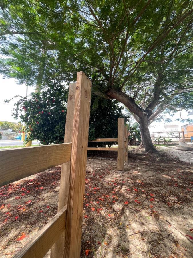 Las Olas Beach Apartments Arecibo Kültér fotó
